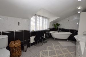 Lounge- click for photo gallery